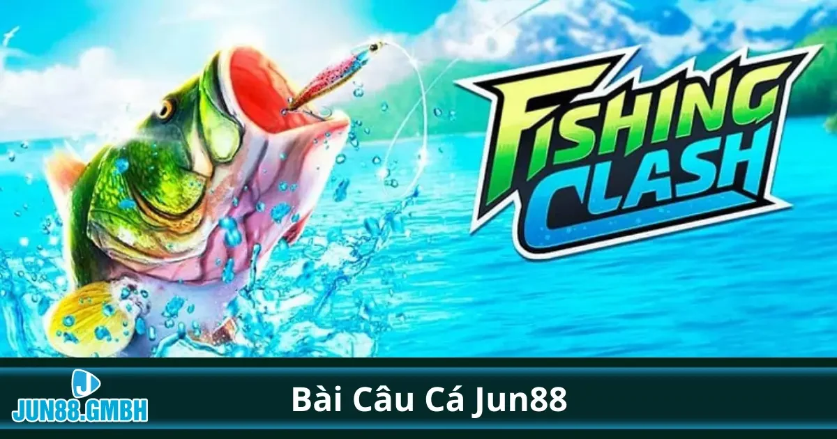 Bài Câu Cá Là Gì? Hướng Dẫn Cơ Bản Dành Cho Người Mới