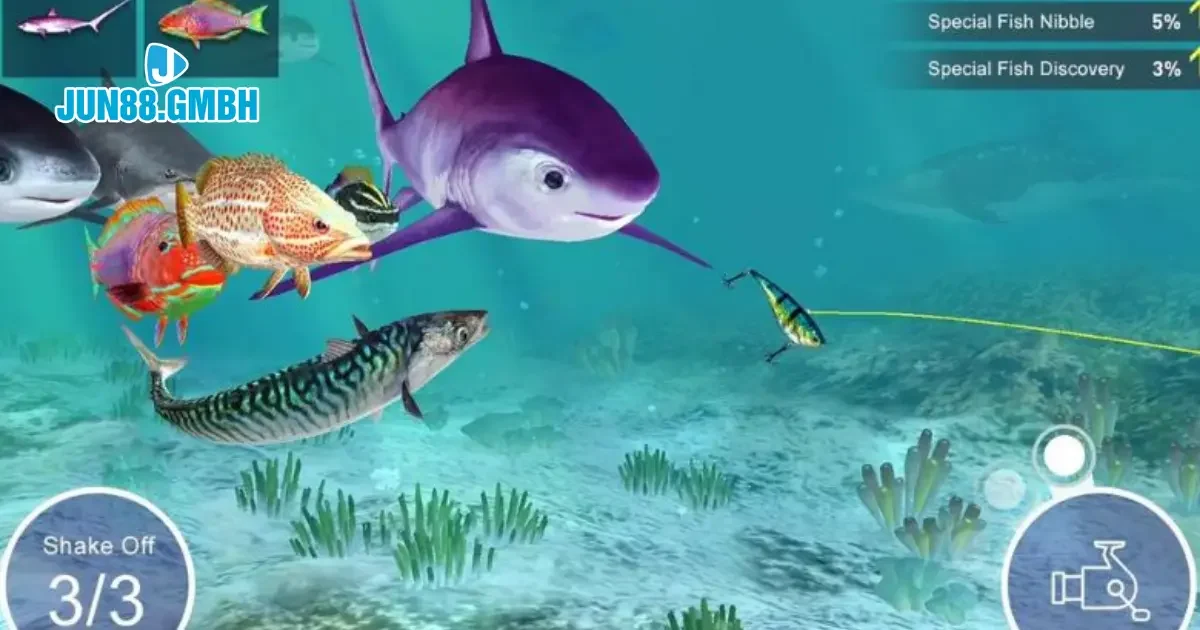 Các đặc điểm nổi bật của bài câu cá Jun88