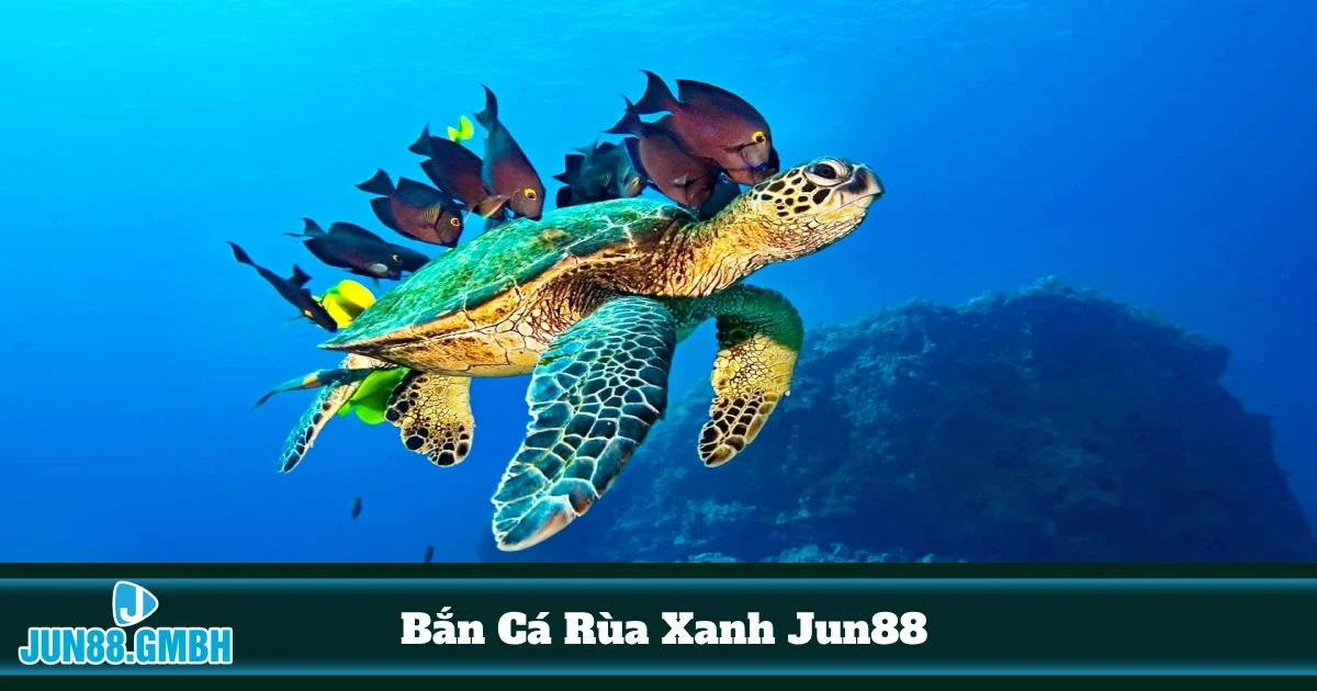 Khi nào rùa xanh xuất hiện trong game?