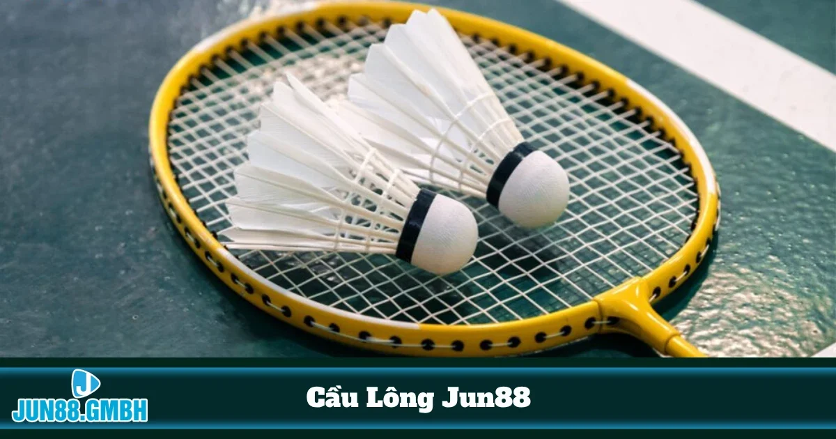 Phân tích quyết định cược trước khi tham gia