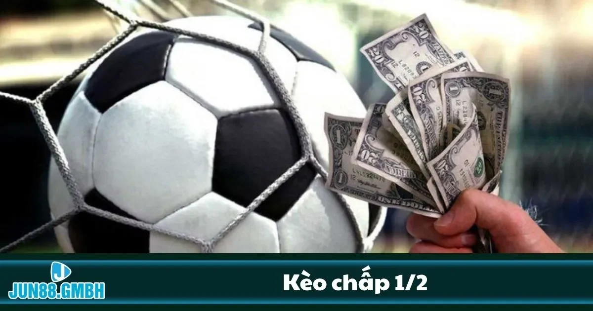 Nên chọn cửa trên hay cửa dưới là đúng?